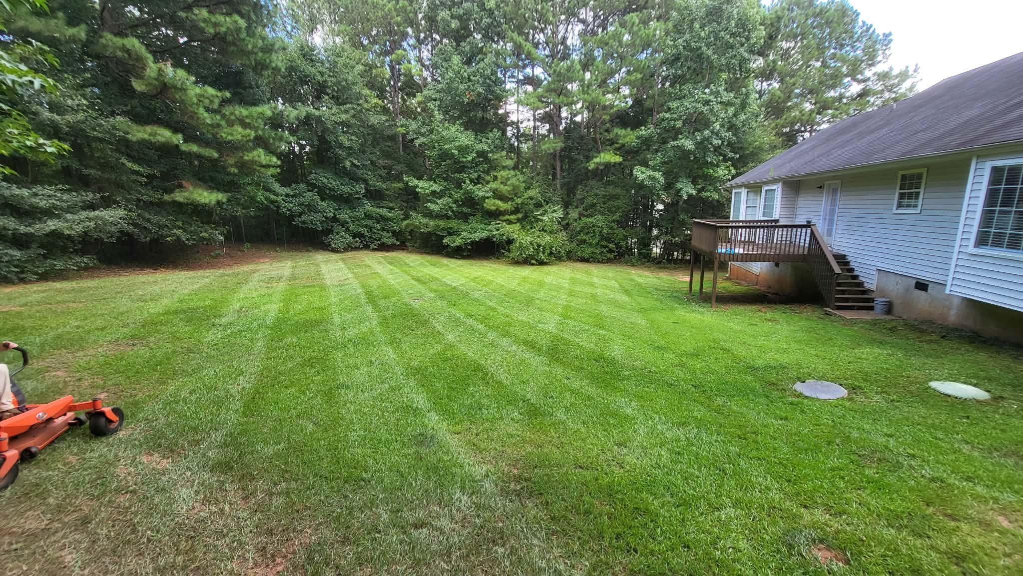 Lawn with professional mowing stripes